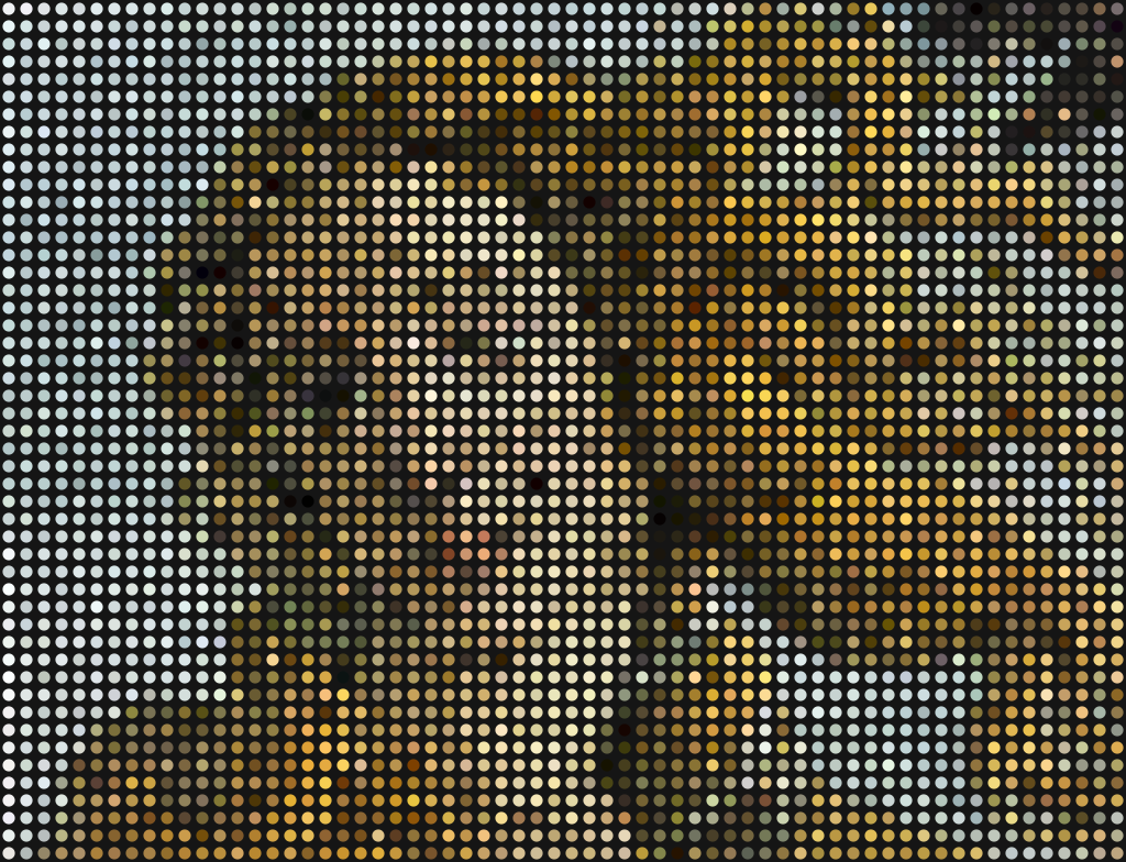 A pixelated venus