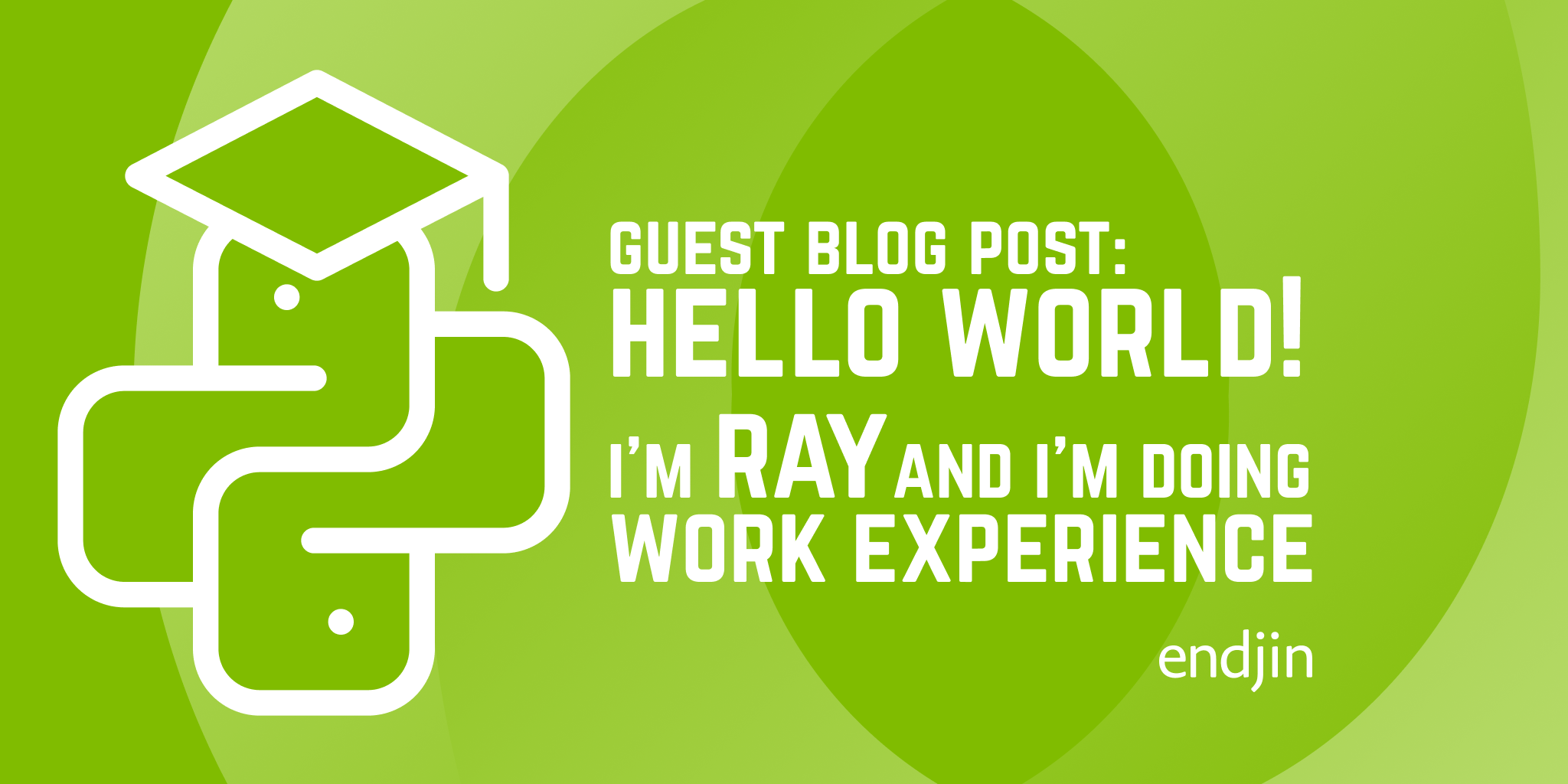 Guest blog post work experience at endjin week 1 blank